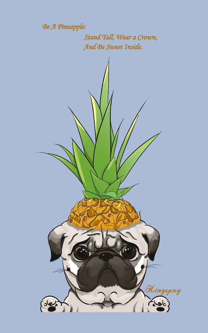 I Create Brand Kingspug,share With Pug Fans!