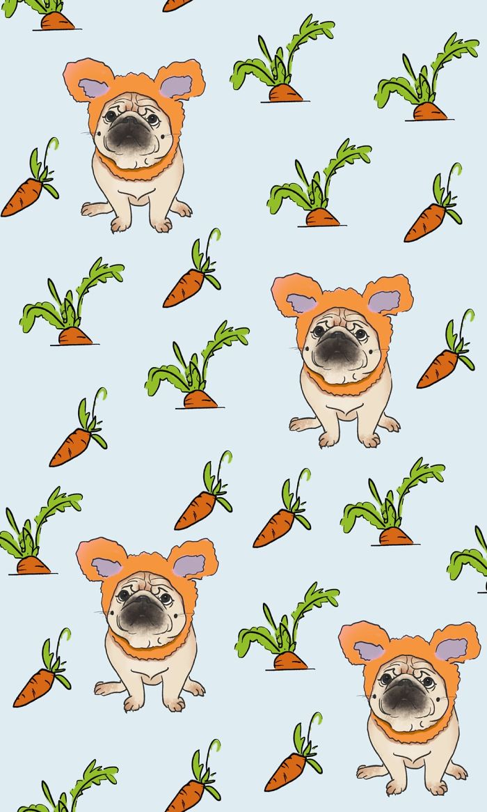 I Create Brand Kingspug,share With Pug Fans!