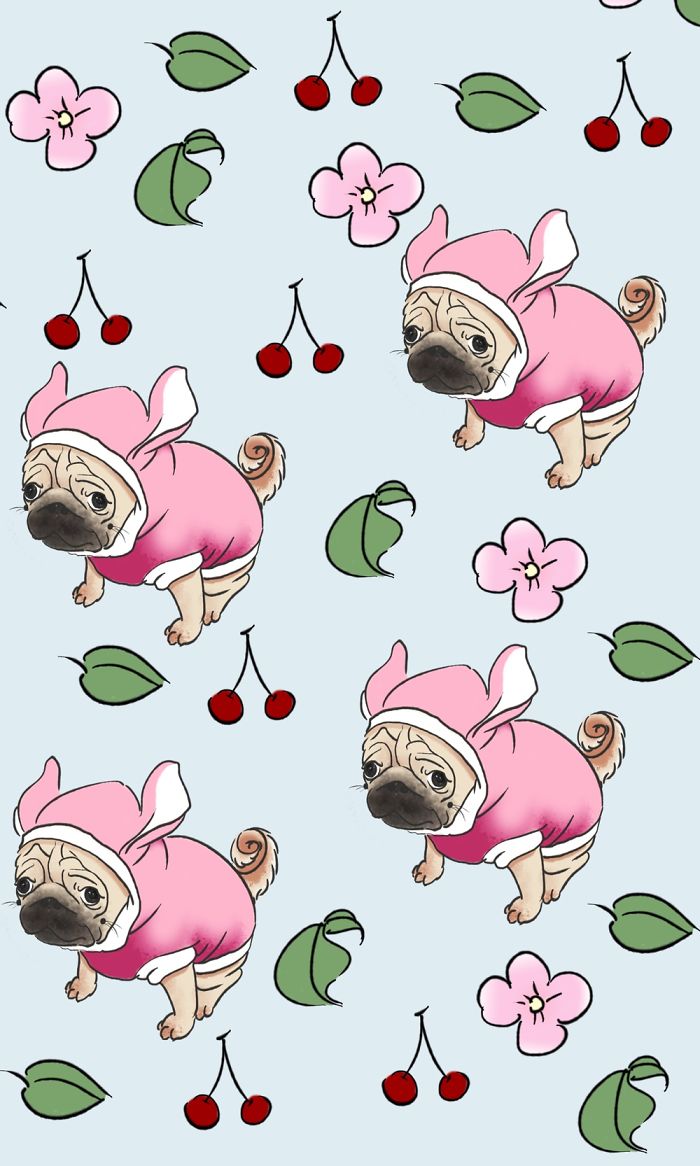 I Create Brand Kingspug,share With Pug Fans!