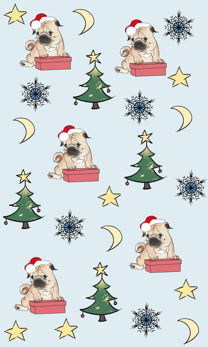 I Create Brand Kingspug,share With Pug Fans!