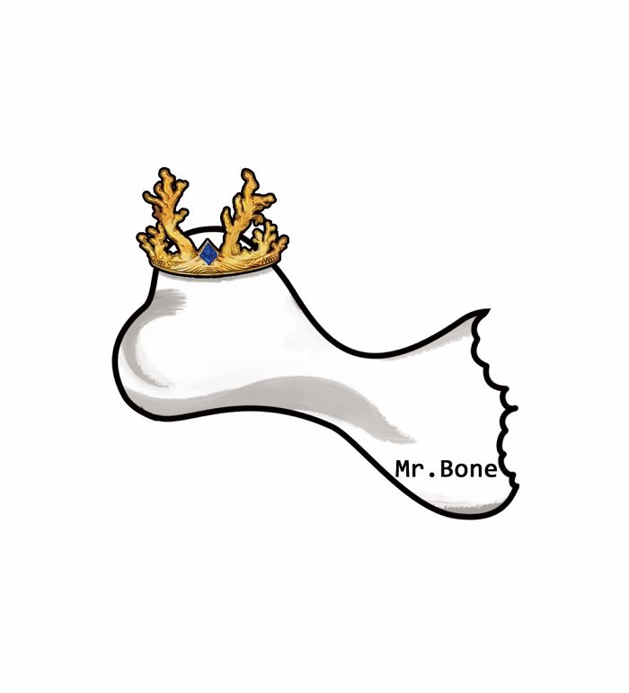 I Create Brand Kingspug,share With Pug Fans!