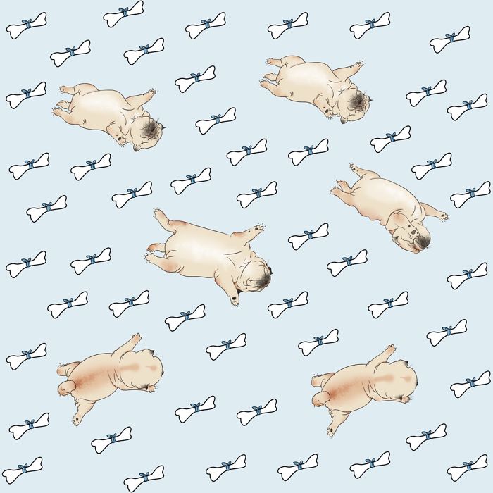 I Create Brand Kingspug,share With Pug Fans!