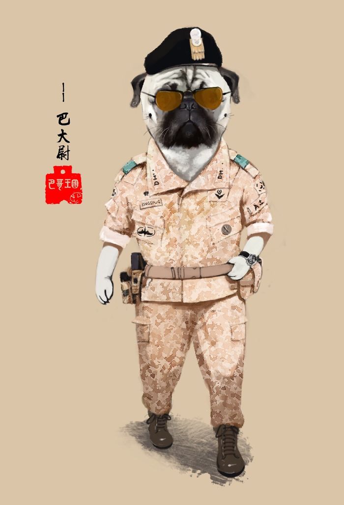 I Create Brand Kingspug,share With Pug Fans!