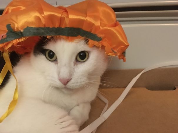 Creepy Pumpkin Shower Lady!