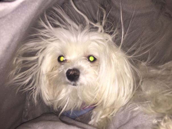 Static... What Static?