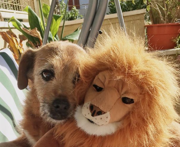 Do You Really Love Me?????