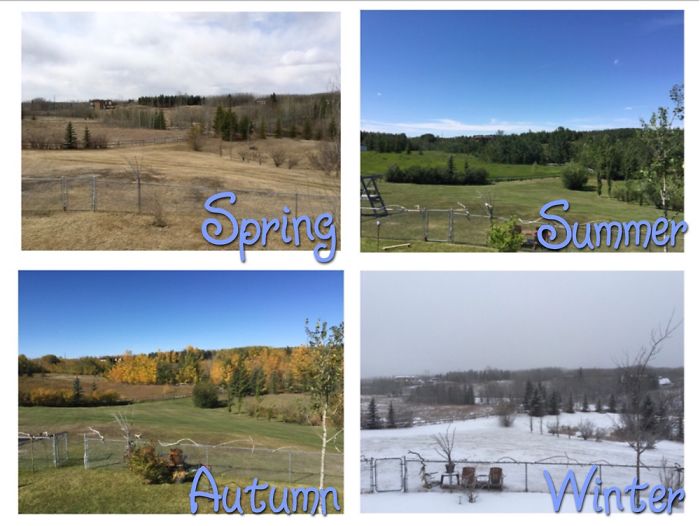 Four Seasons Project