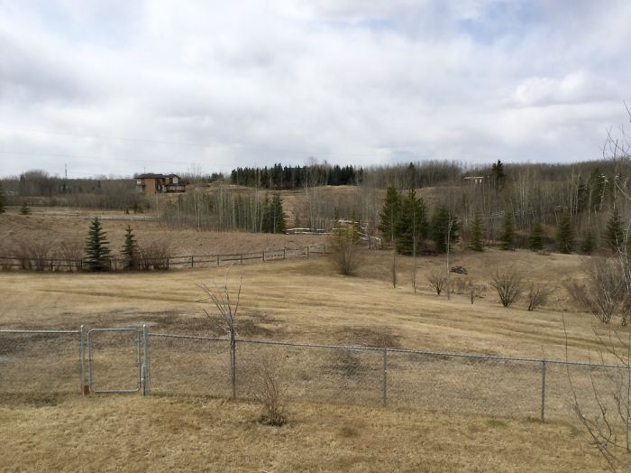 Four Seasons Project