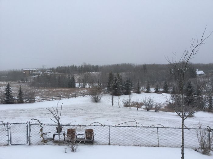 Four Seasons Project Four Seasons Project