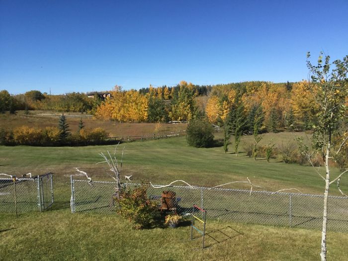 Four Seasons Project Four Seasons Project