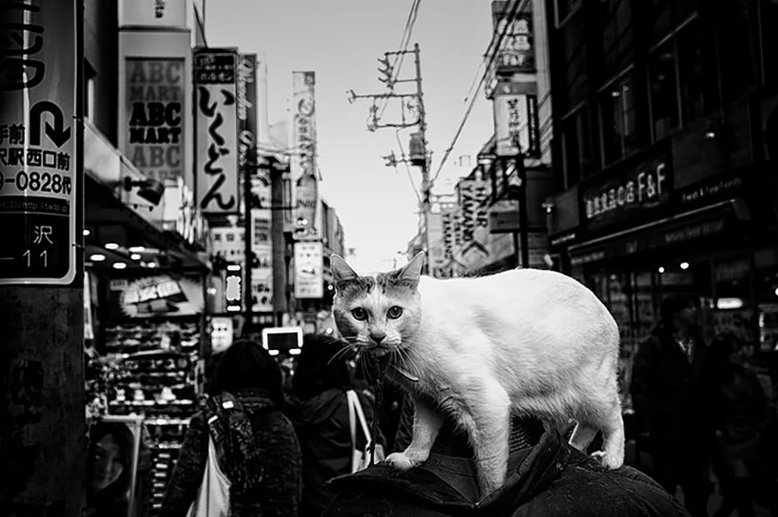 Japan Street Photography