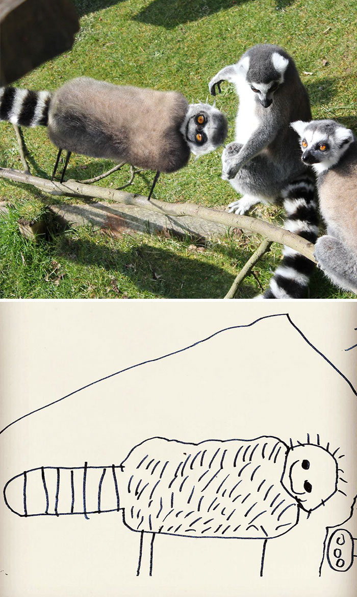 Lemur