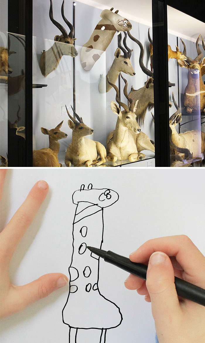 Giraffe Taxidermy