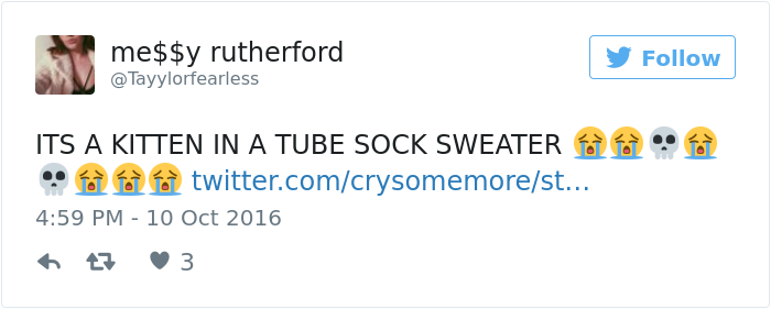 kitten-tube-sock-sweater-hurricane-matthew-5