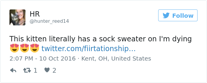 kitten-tube-sock-sweater-hurricane-matthew-6 kitten-tube-sock-sweater-hurricane-matthew-6