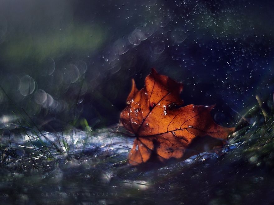 My Impressionist Photos Of Autumn In Poland My Impressionist Photos Of Autumn In Poland