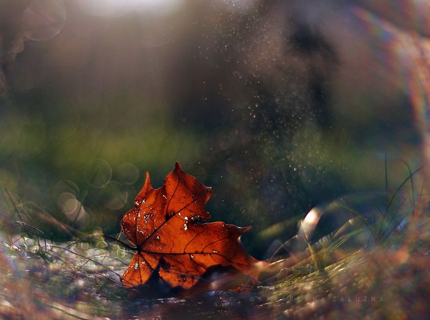 My Impressionist Photos Of Autumn In Poland My Impressionist Photos Of Autumn In Poland