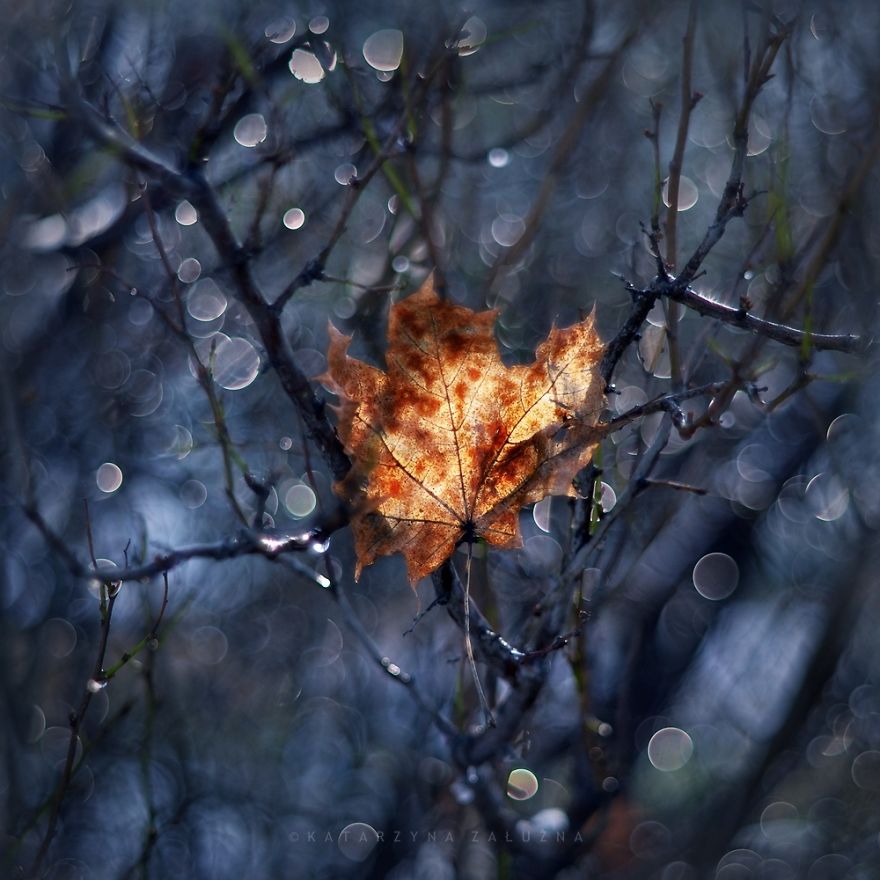 My Impressionist Photos Of Autumn In Poland My Impressionist Photos Of Autumn In Poland