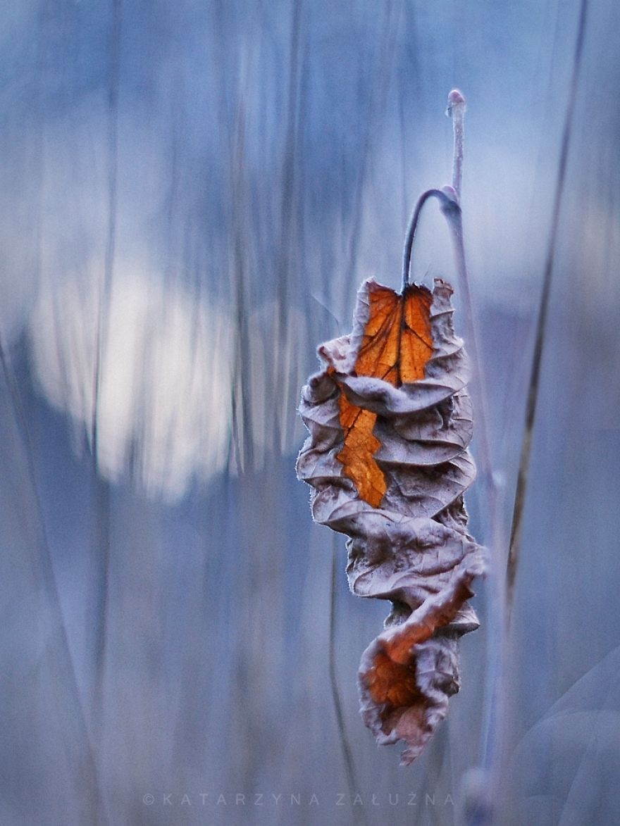 My Impressionist Photos Of Autumn In Poland My Impressionist Photos Of Autumn In Poland