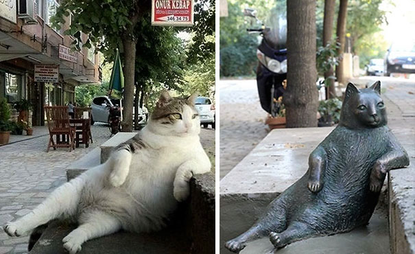 laid-back-cat-statue-tombili-istanbul-8 laid-back-cat-statue-tombili-istanbul-8