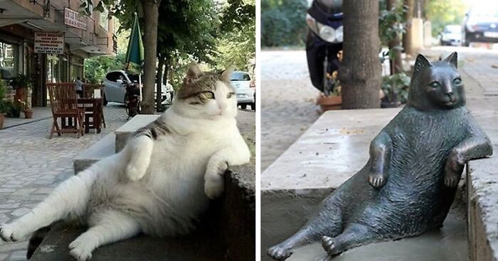 Istanbul’s Most Famous Cat Honored With Its Own Statue At Its Favorite Spot
