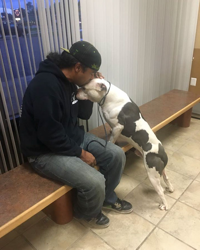 left-dog-mattress-boo-7 left-dog-mattress-boo-7