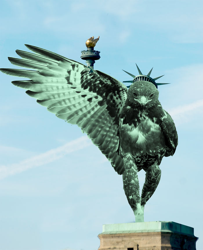 Libertyhawk