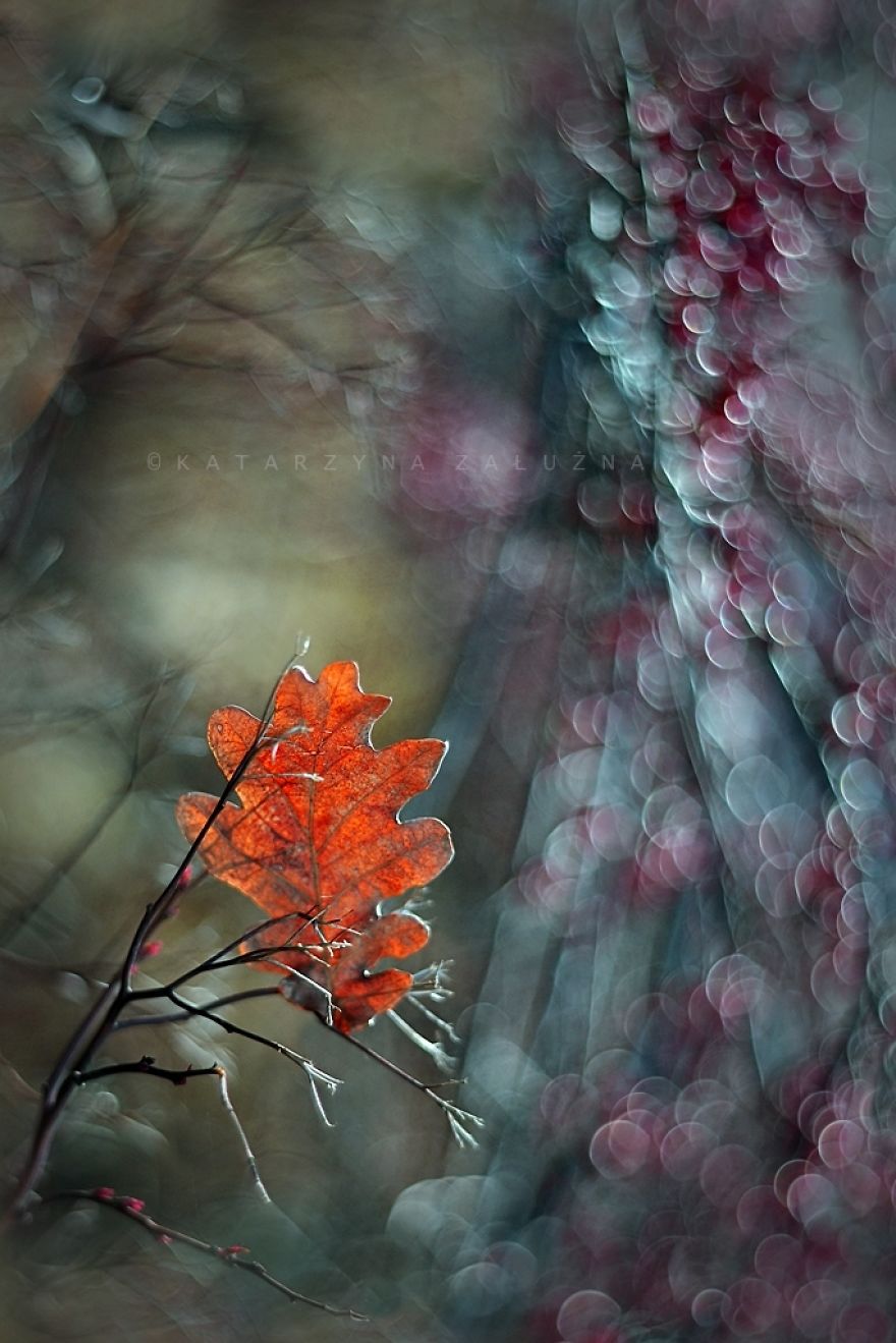 My Impressionist Photos Of Autumn In Poland My Impressionist Photos Of Autumn In Poland