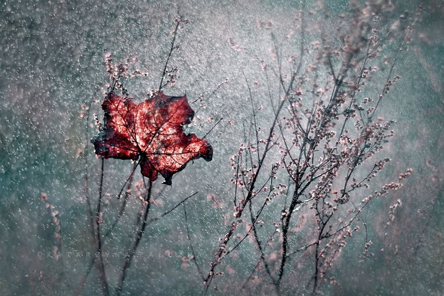 My Impressionist Photos Of Autumn In Poland My Impressionist Photos Of Autumn In Poland