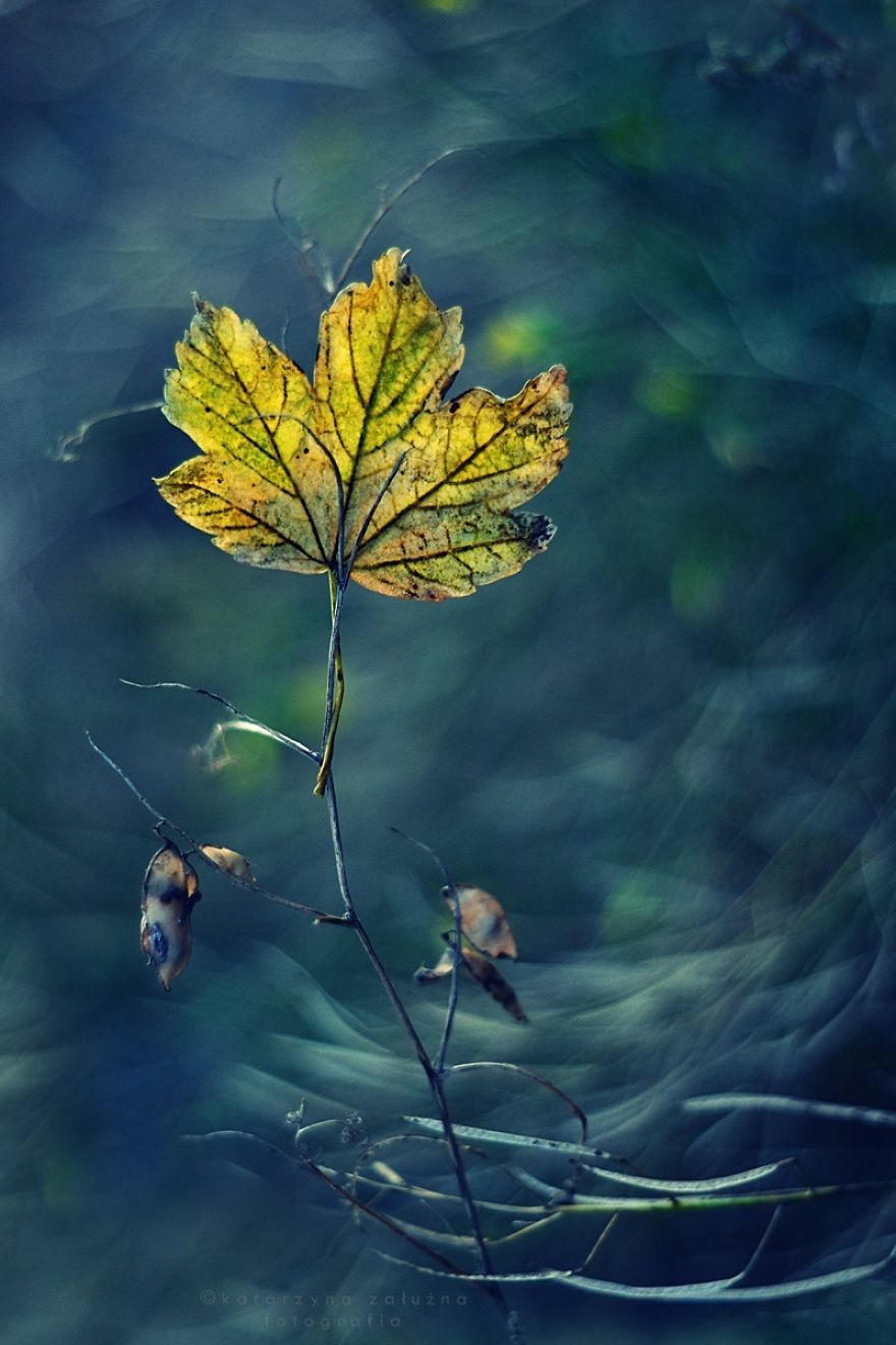 My Impressionist Photos Of Autumn In Poland My Impressionist Photos Of Autumn In Poland