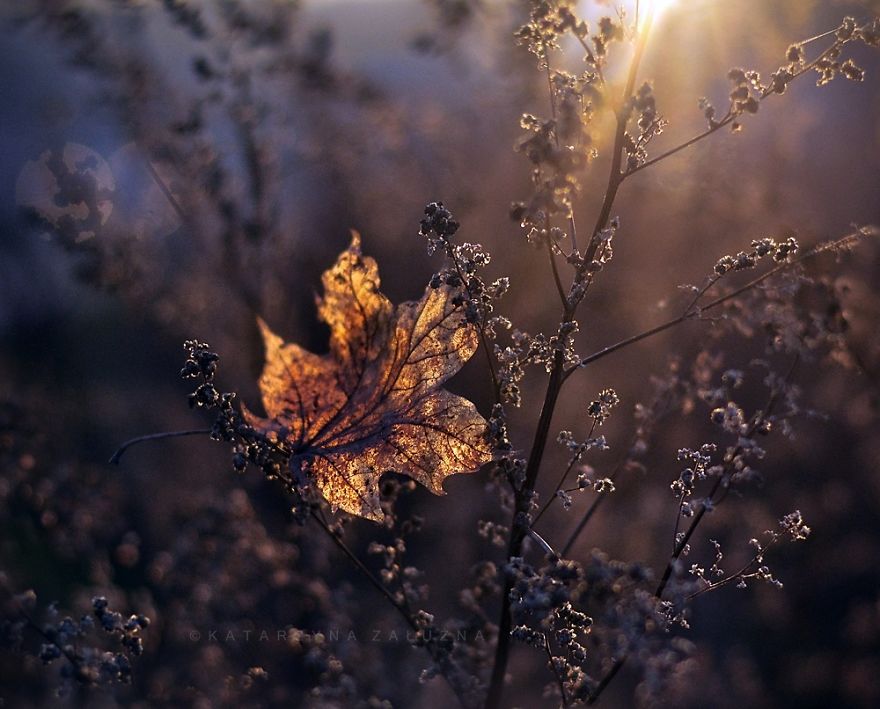 My Impressionist Photos Of Autumn In Poland My Impressionist Photos Of Autumn In Poland