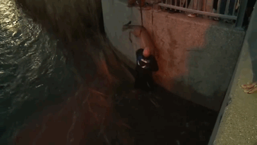 man-saves-deer-floodwaters-iowa-12