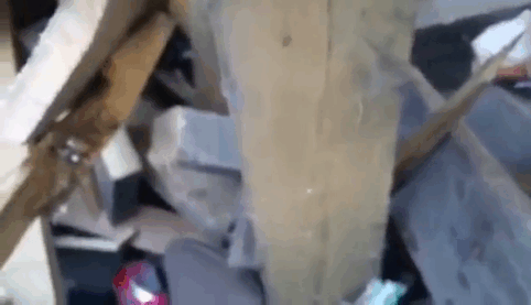 man-saves-kittens-wood-dumpster-3 man-saves-kittens-wood-dumpster-3