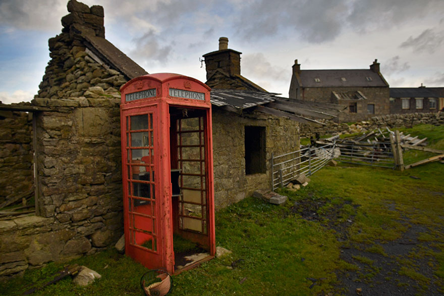 miniature-ponies-foula-island-8 miniature-ponies-foula-island-8