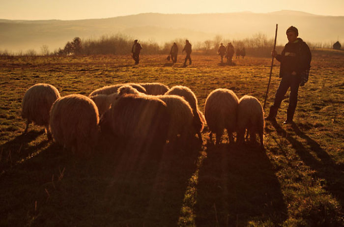 I Visited Brasov In Romania