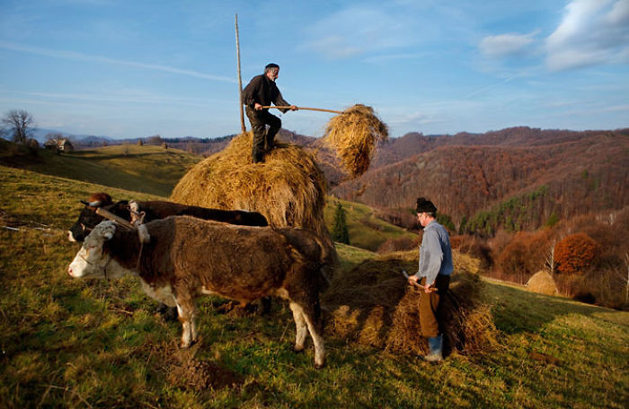 I Visited Brasov In Romania