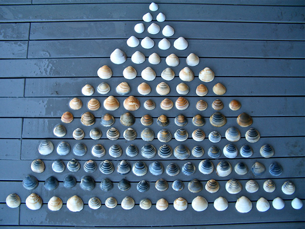 Symmetrical arrangement of seashells in a triangle, satisfying perfectionist cravings for order and balance.