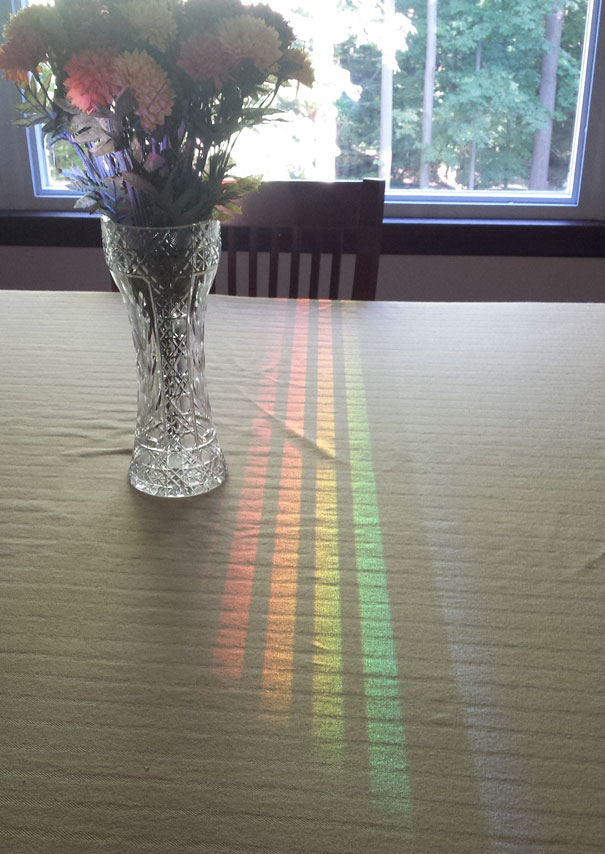 Crystal vase with flowers casting a perfect rainbow reflection on a table, satisfying perfectionists.