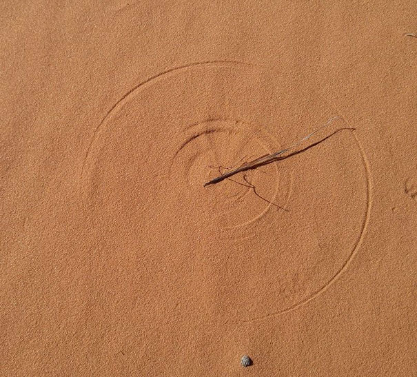 A perfectly smooth sand circle with a stick crossing it, satisfying a perfectionist's eye.