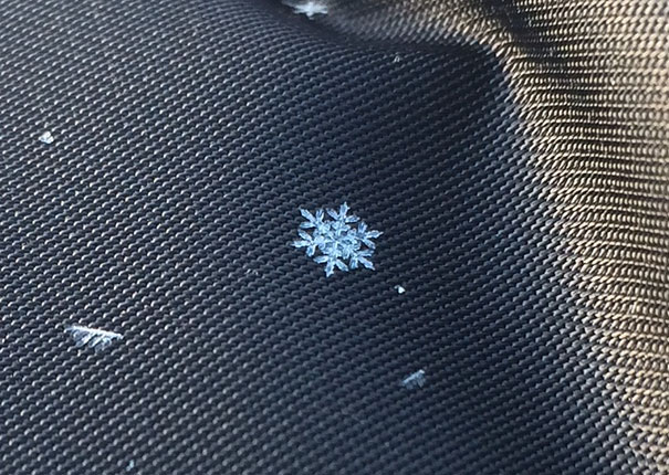 Close-up of a perfectly formed snowflake on a textured dark surface.