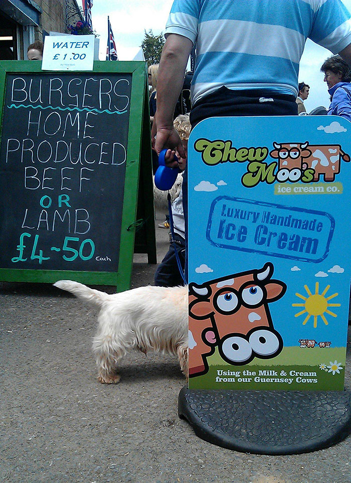 Perfectly Timed Street Photography