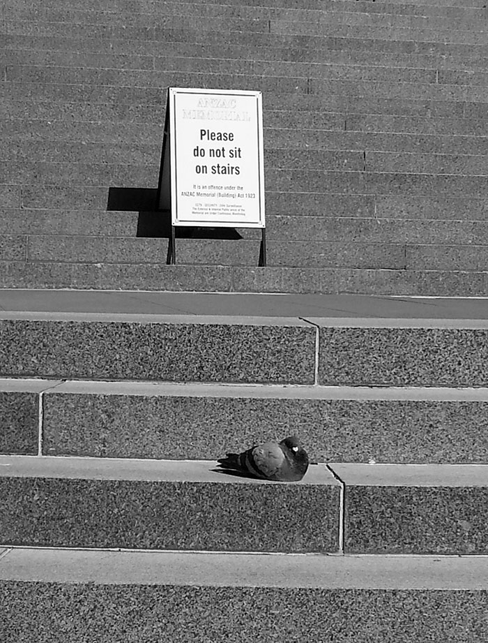 Perfectly Timed Street Photography