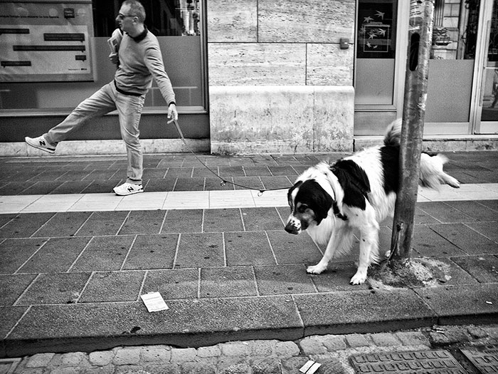 Perfectly Timed Street Photography