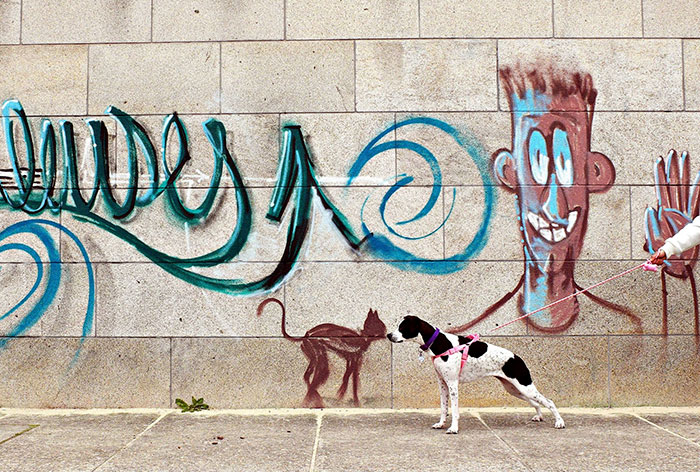 Perfectly Timed Street Photography