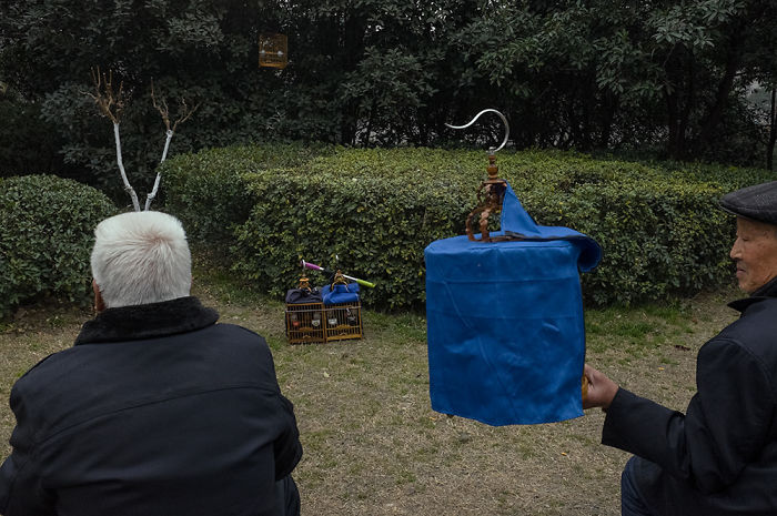 Perfectly Timed Street Photography