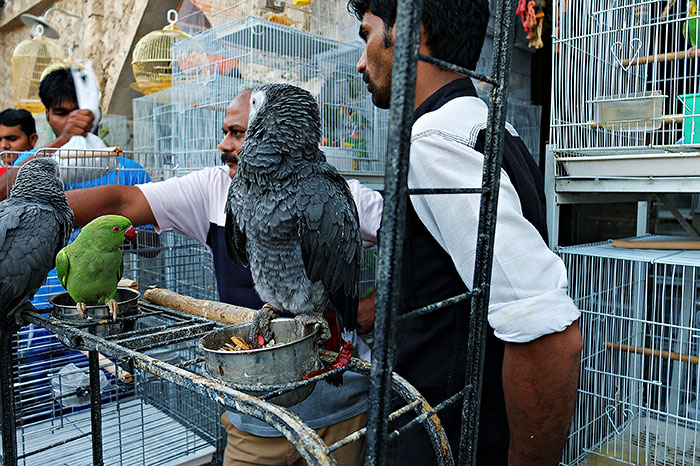 Perfectly Timed Street Photography