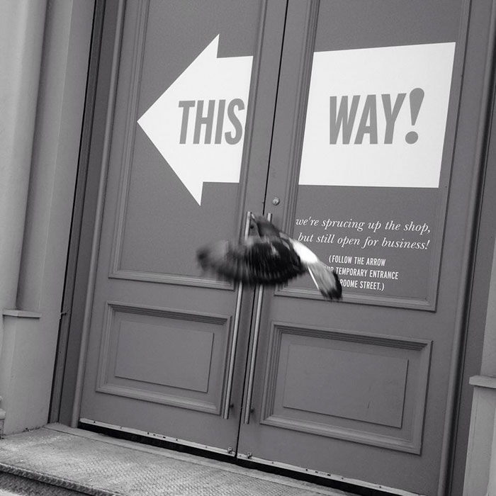 Perfectly Timed Street Photography