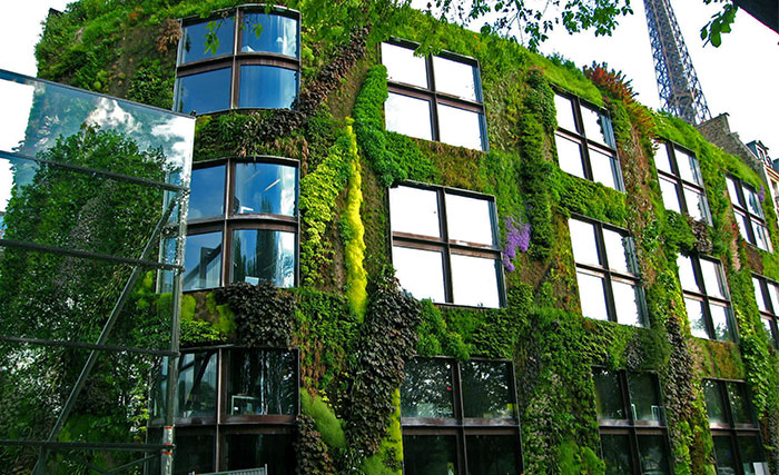 Paris’ New Law Allows Anyone To Plant Urban Gardens