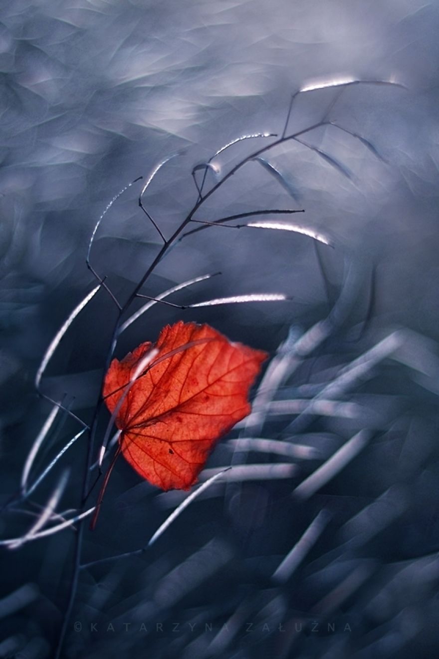 My Impressionist Photos Of Autumn In Poland My Impressionist Photos Of Autumn In Poland