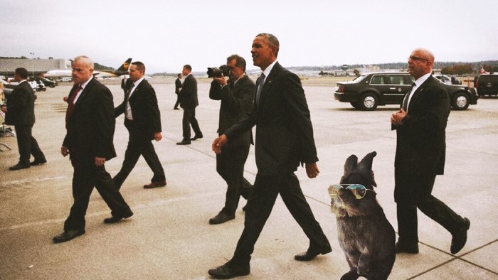 Secret Service Bunny
